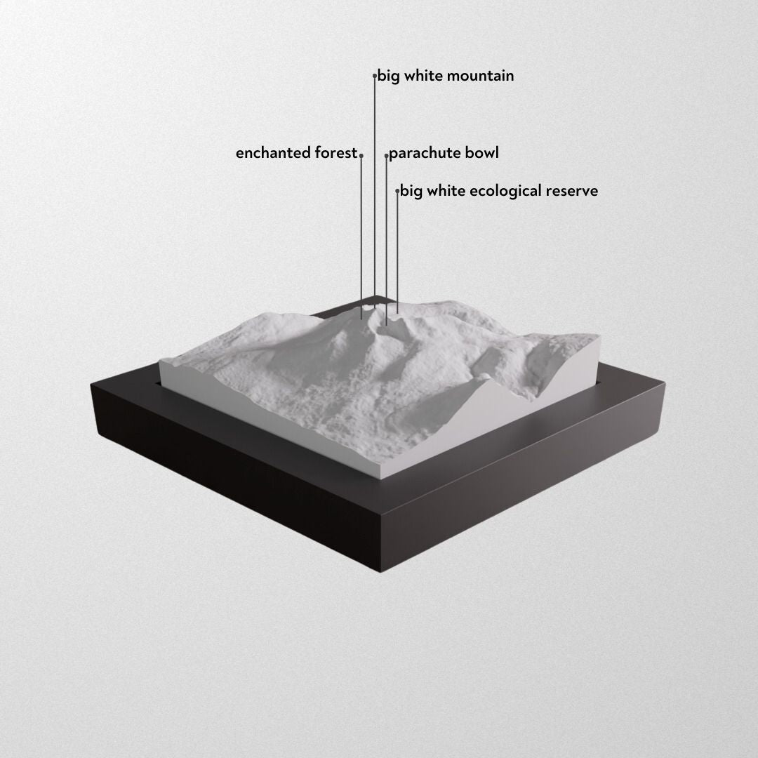 Big White 3D framed models.