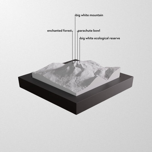 Big White 3D framed models.