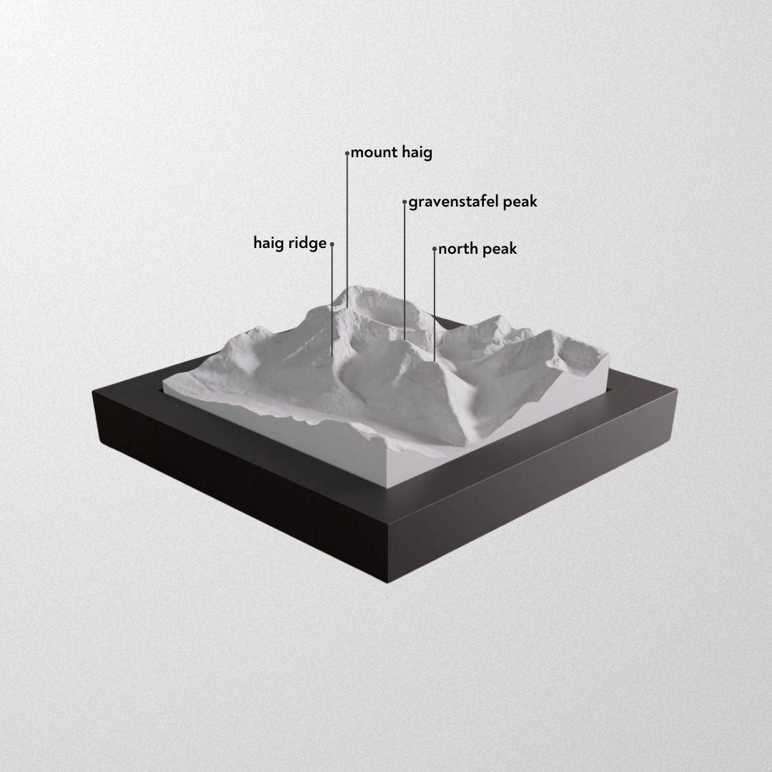 Castle Mountain Resort 3D framed model.