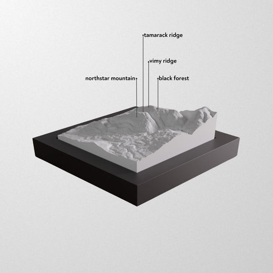 Kimberley Resort 3D framed model.