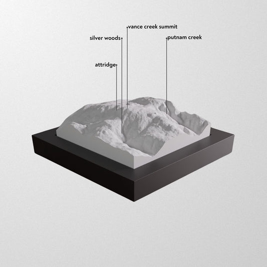 SilverStar Mountain Resort 3D framed model.