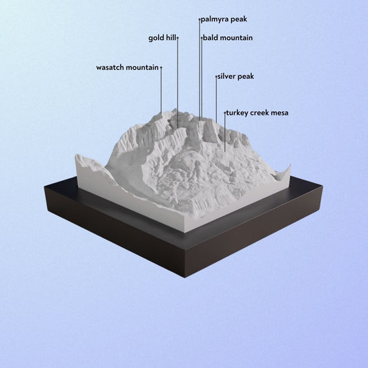 Telluride Resort model.