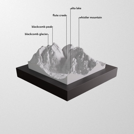 Whistler Blackcomb 3D models on display.
