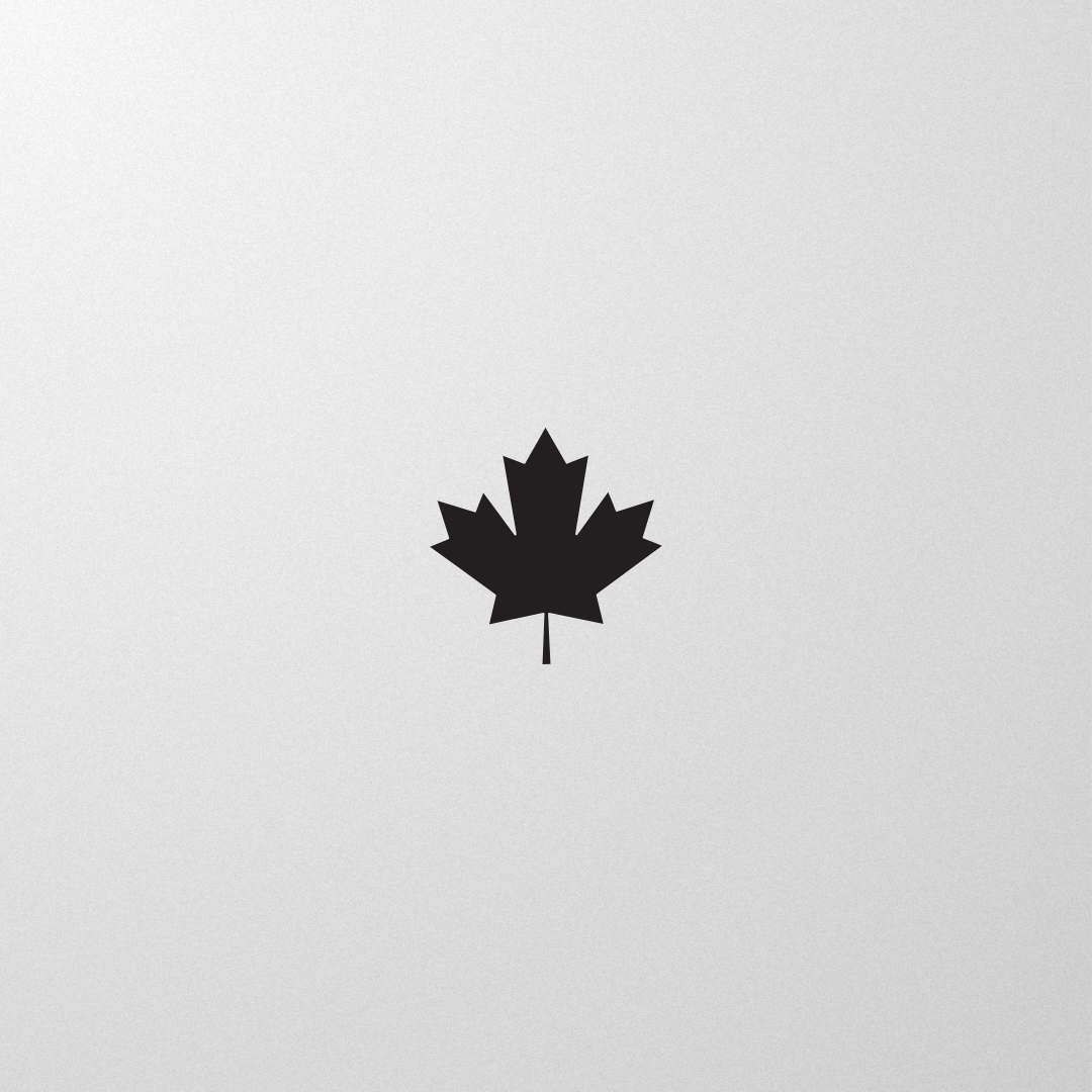 Maple leaf on a grey background.