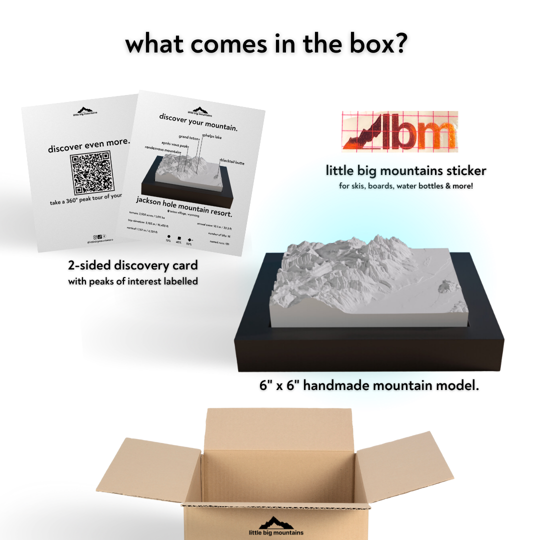 Product packaging with LBM logo, mountain model, and educational materials on a white background