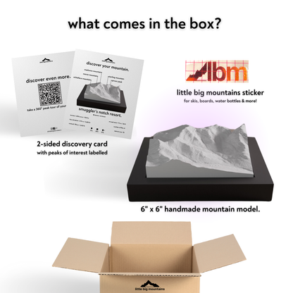 Product packaging with LBM logo, mountain model, and educational materials on a white background
