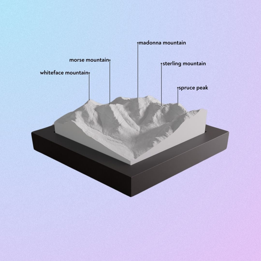 Our 3D model of Smuggler's Notch Resort.