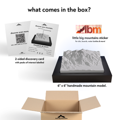 Product packaging with LBM logo, mountain model, and educational materials on a white background