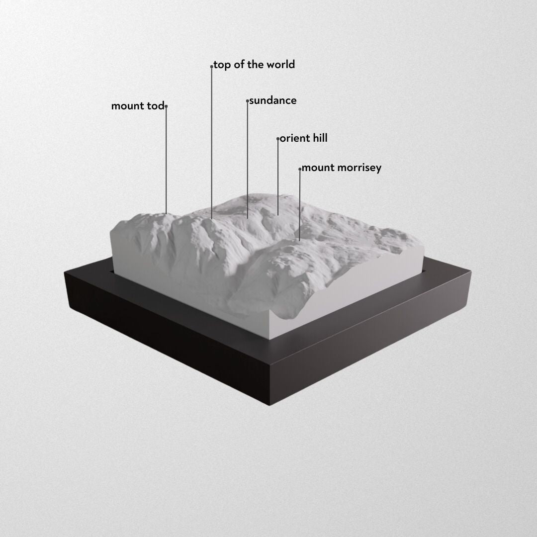 Sun Peaks 3D framed model.