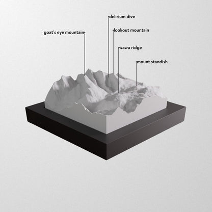 Sunshine Village 3D framed model.